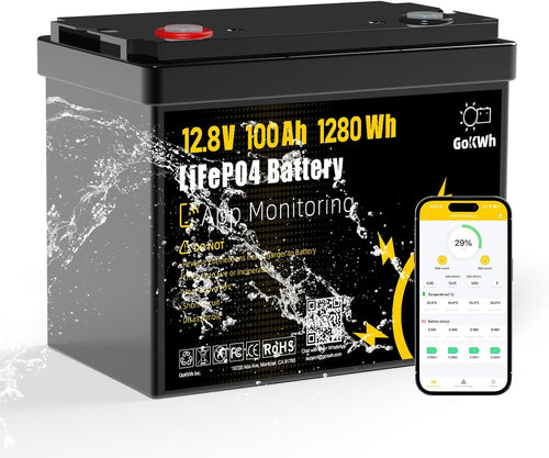 12V 100Ah LiFePO4 Lithium Battery